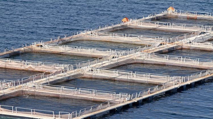 水產養殖（淡水）水質監測解決方案